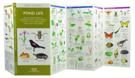 Pocket Naturalist: Pond Life